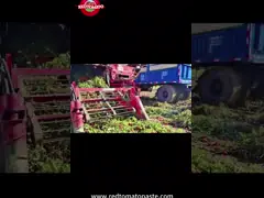 Богатое ароматное барабанное помидорное сок горячее перерыв Брикс 30-32% сладкое и кислое video