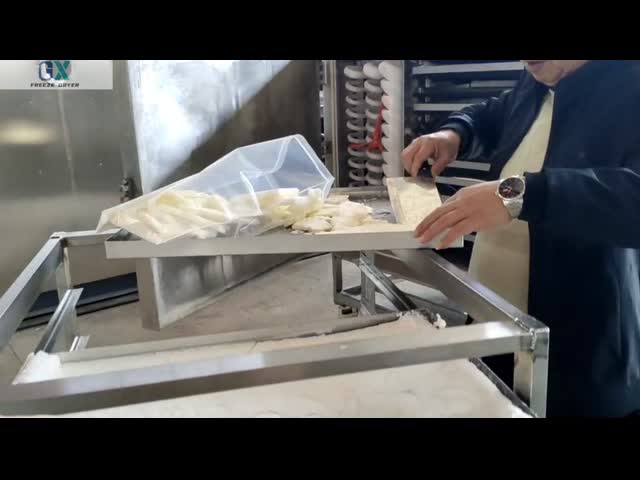 Food Vacuum Freeze Dryer For Precise Control And Consistent Drying Of Instant Noodles