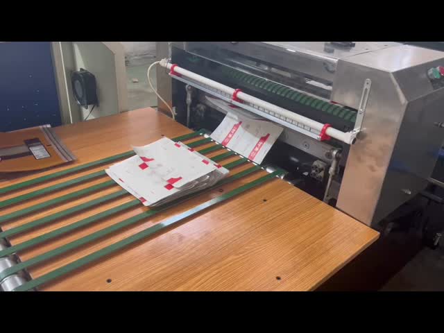 Управление ПЛК Боковая уплотнительная сумка изготовление машины Pouch изготовление машины 35кВт видео