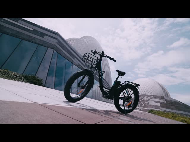 ridstar-electric bike for man