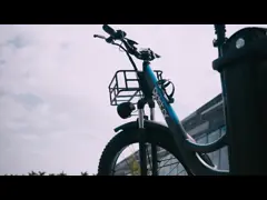 China 1000W Fat Tire Snow Electric Bike 7 Speed Electric Mountain Bike 48V 20ah supplier