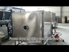 18-22 Hours/Batch Freeze Drying Automatic Vegetable Freeze Dryer Professional Grade video