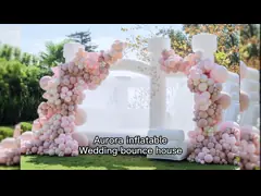 Белый надувный подъемный замок на открытом воздухе водонепроницаемый материал с шаровой ямой video