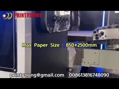 PRY-1025,1225 Automatic Lead Feeder Four Colors Flexo Printing Slotting and Die Cutting Machinery