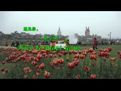 430KM EV70-408 reiner Elektroauto Elektrische Limousine 40 Minuten