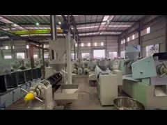 Автоматическое управление Масляный пресс Скрут Масляный пресс Машины Соевая масляная мельница Холодное прессование video