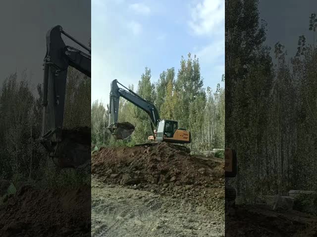гидравлический радиатор масла Crawler Excavator H90 с бум и рукой ведра видео