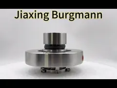 Силиконовый карбидный картридж Механическая уплотнение с вторичной уплотнением KALREZ и диаметром вала 20-100MM video