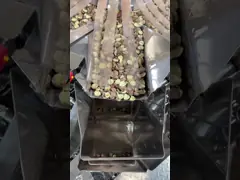 Многофункциональная гранулевая автоматическая упаковочная машина Семена лотоса Фисташки Орехи Мелон Семена арахис video