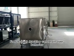 Large Food Milk Vacuum  Freeze Dry Fruit Machine With 100kg / Batch
