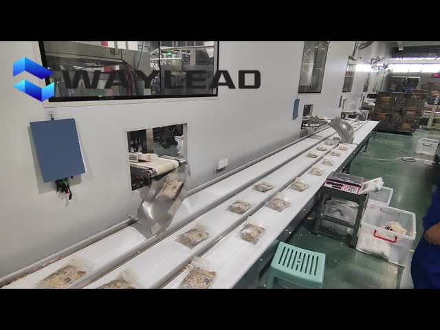 Автоматическая упаковочная линия с низким уровнем шума с управлением PLC видео