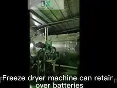 100kg Industrial Food Freeze Dryer High Capacity Lyophilizer for Food