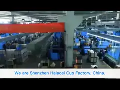 Company introduction