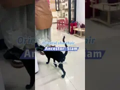 Антибактериальный хлопок для домашних животных, нейтрализатор запаха 50 дБ, обеззараживатель запахов для домашних животных video