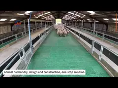 Steel Structure Livestock Shed