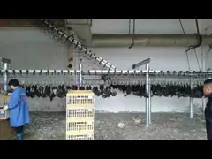 Koppelmachine voor de verwerking van pluimvee in een productie-installatie