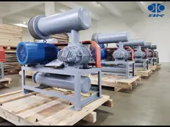 1800m3/h -20KPA укореняет вачуумный насос смещения воздуходувки положительный video