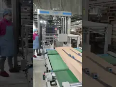 OEM многослойный паллетизатор полный сервоконтроль движения для полной линии сборки упаковки video
