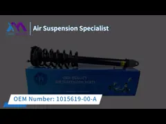 Shock Absorber Air Spring Damper For Mercedes Benz W211 2002-2009 2113209313 2193201113 2113206113 video