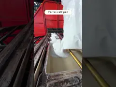 Высококачественная полиэтиленовая ручка для телят: обеспечение легкой очистки и оптимальных условий на молочных фермах video