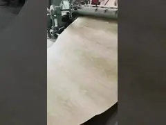 Natural Rotary Cut European Pink Beech Veneer Sheet For Plywood