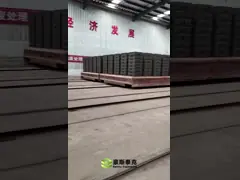 Burning Clay Bricks Tunnel Kiln Brick Macking Plant with 4.8m Kiln Section