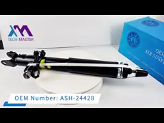 Ford F150 SVT Raptor STX XLT Автомобильный амортизатор заднего левого правого ASH-24541 BL3Z18125K