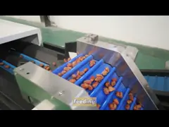 Эффективность - переопределенная машина для классификации дат с высокой точностью и высокой мощностью video