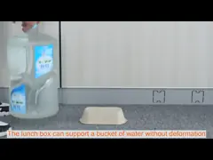 Take Away Lunch Recyclable Food Containers Biodegradable Sugarcane Bagasse