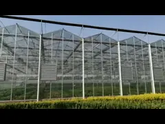 China Low Cost Polycarbonate Sheet Greenhouse For Bananas Cucumber Tomatoes Lettuce supplier