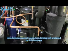 TAG2516ZBR Tecumseh TAG2516Z freezer 4hp compressor condensing unit for refrigeration system