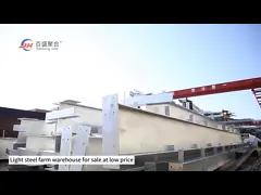 Steel Structure Garage
