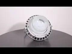 Explosion Proof High Bay Light