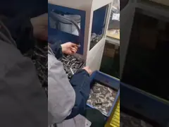 Черные O-Rings уплотнители с высоким удлинением стандартный размер для промышленного использования video