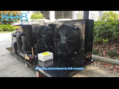 KUB500L YF35E3G-Q100 1PH Refrigeration Condensing Unit Low Temperature 5HP Scroll Compressor Condenser video