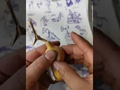 Thermal Sublimation Transfer