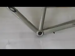 Wide Tire Stock Gravel Bike Frame 700x45c Lightweight Beach Bicycle