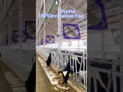 Современный промышленный вентилятор скорость ветра 5 м/с на расстоянии 6 метров для превосходного воздушного потока video