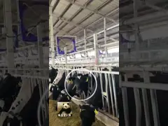 Современный объем воздуха Вентиляционные вентиляторы для скота 5 м/с Скорость ветра низкий уровень шума 1.1А video