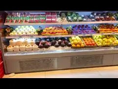 Удалённая система правоугольный коммерческий открытый передний многоэтажный дисплейный чиллер video