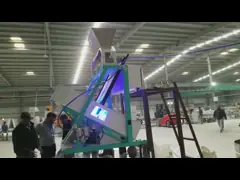 China Intelligent CCD Color Sorter Pepper Grading Machine High Efficiency supplier