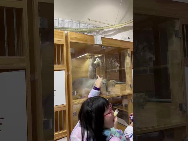 2860 pés quadrados área de cobertura purificador de ar médico com H13 HEPA e algodão antibacteriano