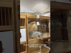 Модифицированный медицинский очиститель воздуха с активированным углеродом с УФ-лампой с низким уровнем шума и датчиком формальдегида video