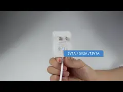 Goedgekeurde 12V 3A Type C Adapter America Plug 36W USB-C Charger Output 12V/3A OEM/ODM Kan worden