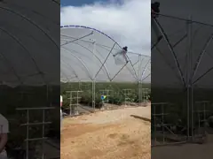 Good Quality Poly Tunnel Green House Low Cost Hot Sale Polytunnel Berry Greenhouse