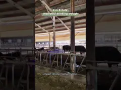 LLDPE животноводческий автоматический поливник с 1 набором 220V300W дисков нагрева для скота video