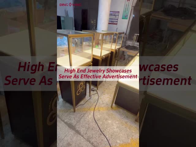 450X450X1350MM Museum Display Cabinets