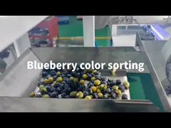 CCD Optical Belt Type Color Sorter Machine For Blueberry