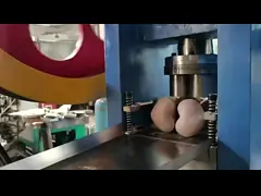 Big Pill Flower Basket Tablet Press Machine 100KN Pressure single station tablet press