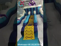 Nouveau design Populaire glissière gonflable Océan Octopus Cartoon Party Glissière gonflable sèche double pour enfants et adultes